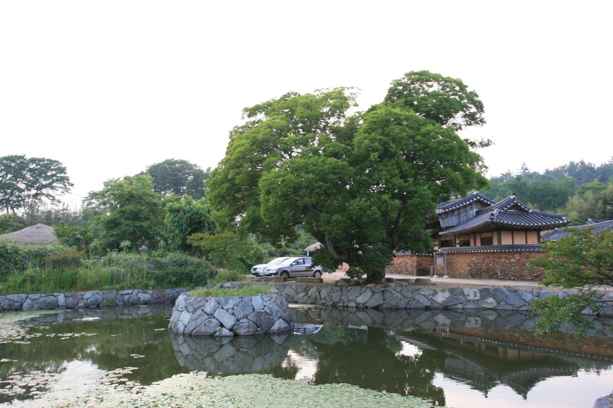 Boseong Jinrae Lee'S Traditional House מראה חיצוני תמונה